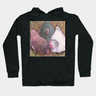 Three Chooks Hoodie